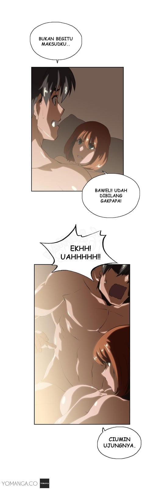 SStudy - Chapter 19 19