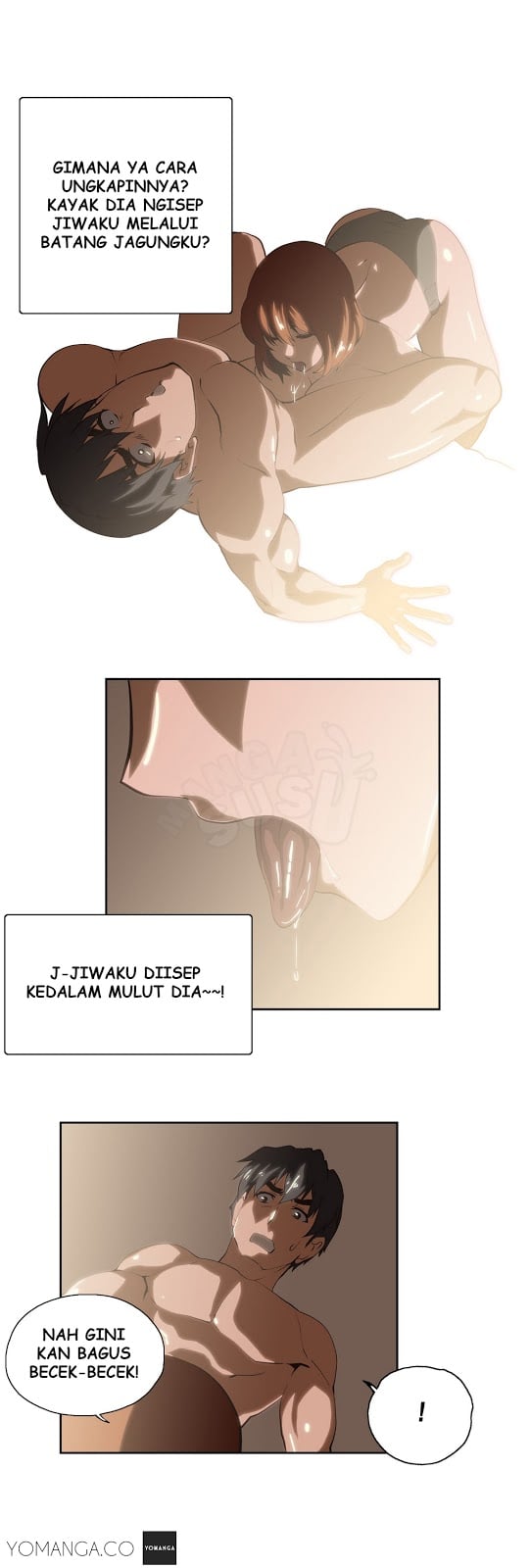 SStudy - Chapter 19 12