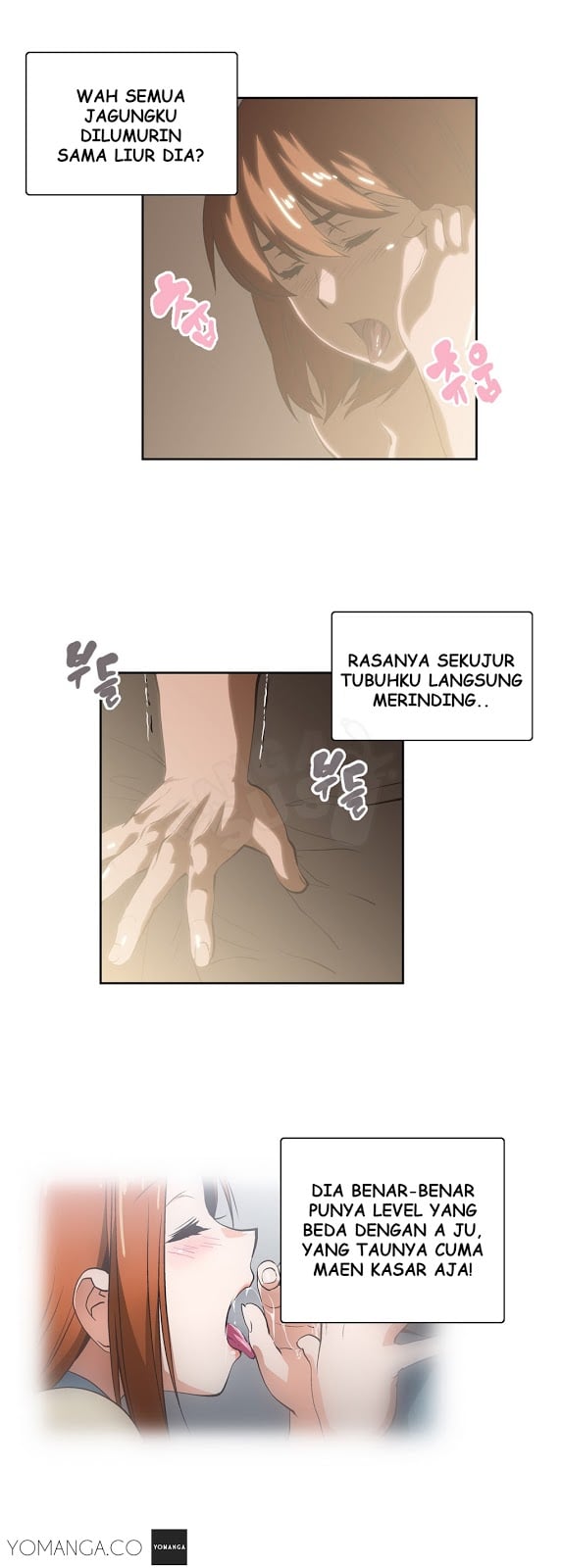 SStudy - Chapter 19 11