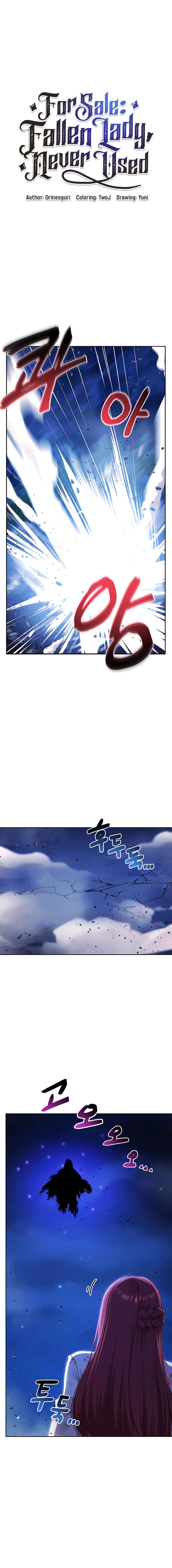 For Sale: Fallen Lady, Never Used - Chapter 50 2