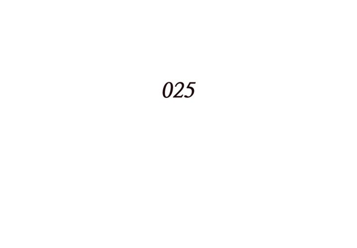 The Hidden Past - Chapter 25 5